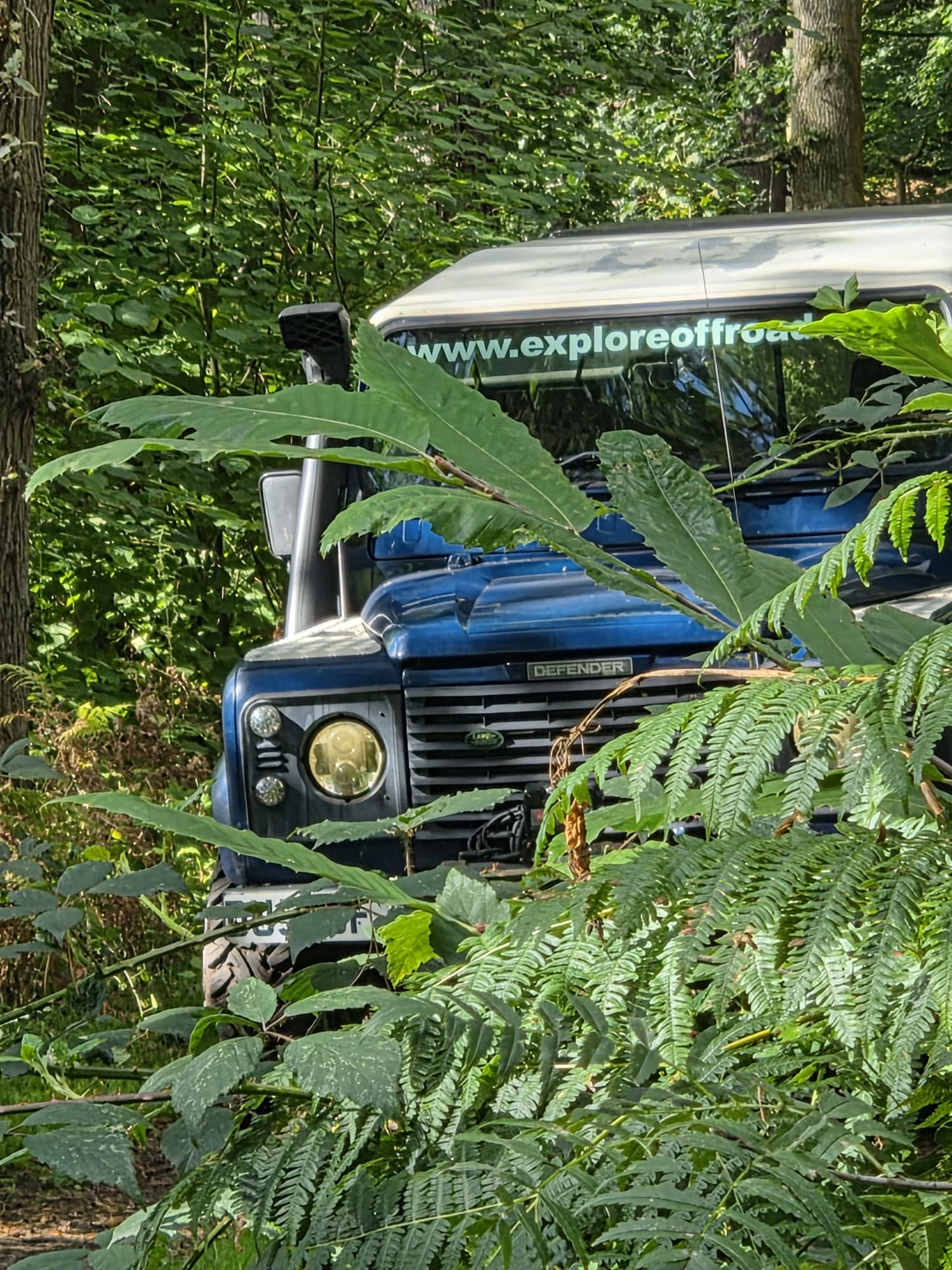 A blue Land Rover Defender partly surrounded by leafy branches and ferns on a wooded off-road trail. A blue Land Rover Defender partly surrounded by leafy branches and ferns on a wooded off-road trail.